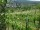 Webcam in Feuerbach, 4.3 mi away