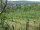 Webcam in Feuerbach, 5.9 km entfernt