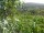 Webcam in Feuerbach, 10.9 km