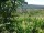 Webcam in Feuerbach, 7.5 mi away