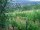 Webcam in Feuerbach, 3.2 mi away