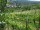 Webcam in Feuerbach, 3.7 mi away