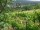 Webcam in Feuerbach, 7.7 km