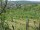 Webcam in Feuerbach, 22 km entfernt