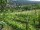 Webcam in Feuerbach, 9.6 km