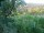 Webcam in Feuerbach, 3 mi away