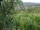 Webcam in Feuerbach, 4.8 mi away