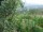 Webcam in Feuerbach, 5 km entfernt