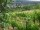 Webcam in Feuerbach, 5.6 mi away