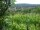 Webcam in Feuerbach, 2.8 km
