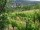 Webcam in Feuerbach, 1.9 mi away