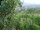 Webcam in Feuerbach, 7.1 mi away