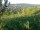 Webcam in Feuerbach, 22 km