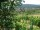 Webcam in Feuerbach, 22 km