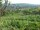 Webcam in Feuerbach, 14.7 km