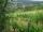 Webcam in Feuerbach, 8.5 mi away