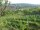 Webcam in Feuerbach, 9.9 km