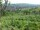 Webcam in Feuerbach, 3 km
