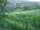 Webcam in Feuerbach, 26.6 km