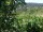 Webcam in Feuerbach, 8.9 km