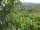 Webcam in Feuerbach, 4.8 mi away