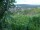Webcam in Feuerbach, 4.8 mi away