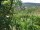 Webcam in Feuerbach, 5.6 mi away