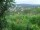 Webcam in Feuerbach, 11.4 km