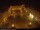 Webcam in Lutherstadt Eisleben, 36.4 km entfernt