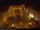 Webcam in Eisleben, 13.2 mi away