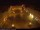 Webcam in Lutherstadt Eisleben, 38.5 km entfernt