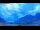 Webcam in Torbole (Gardasee), 0.4 km