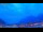 Webcam in Torbole (Gardasee), 0.4 km entfernt