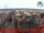 Webcam in Cesenatico, 1.1 mi away