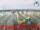 Webcam in Cesenatico, 5.7 km entfernt