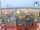 Webcam in Cesenatico, 10.6 km