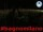 Webcam in Cesenatico, 0.5 km