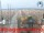 Webcam in Césenatico, 0 km