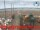 Webcam in Cesenatico, 9.5 km