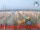 Webcam in Cesenatico, 0.6 km entfernt