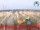 Webcam in Cesenatico, 0 km