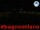 Webcam in Cesenatico, 0.2 mi away