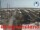 Webcam in Césenatico, 5.9 km