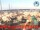 Webcam in Cesenatico, 10.3 km