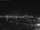 Webcam in Ponza, 0.2 mi away