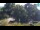 Webcam in Crikvenica, 8.3 km
