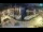 Webcam in Zlarin, 4.3 km entfernt