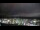 Webcam in Rogers, Arkansas, 308.7 km
