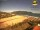 Webcam in Lacona (Elba), 6.6 km