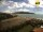 Webcam in Elba - Lacona, 6.3 km